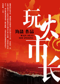 权力场间的博弈：玩火市长