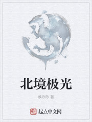 北境极光