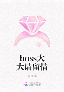 boss大大请留情