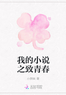 我的小说之致青春