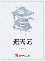 遗天记
