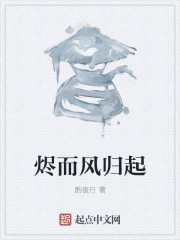 烬而风归起