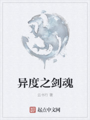 异度之剑魂