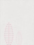 大道无垠之奇偶平行空间