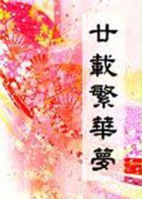 廿年繁华梦
