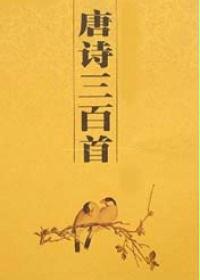唐诗三百首