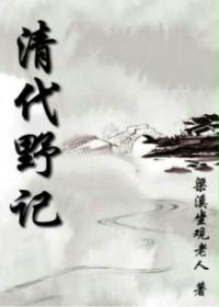 清代野记